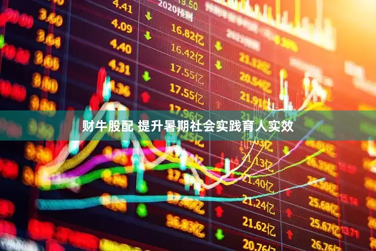财牛股配 提升暑期社会实践育人实效