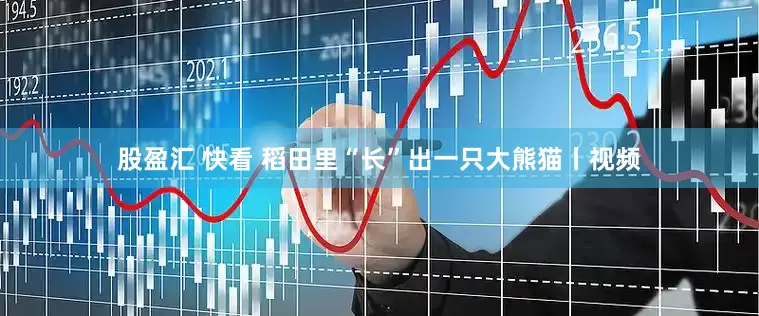 股盈汇 快看 稻田里“长”出一只大熊猫丨视频